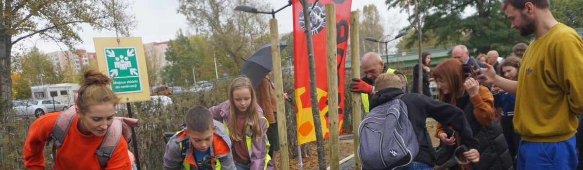 22. Święto Drzewa – ogólnopolska inauguracja w Warszawie