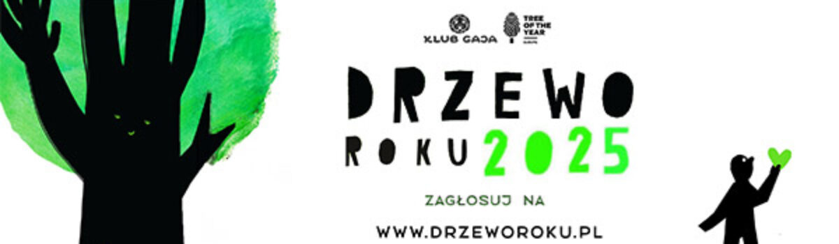Ostatnie dni głosowania na Drzewo Roku 2025