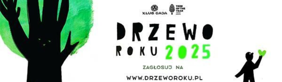 Drzewo Roku 2025 – aktualny ranking głosów