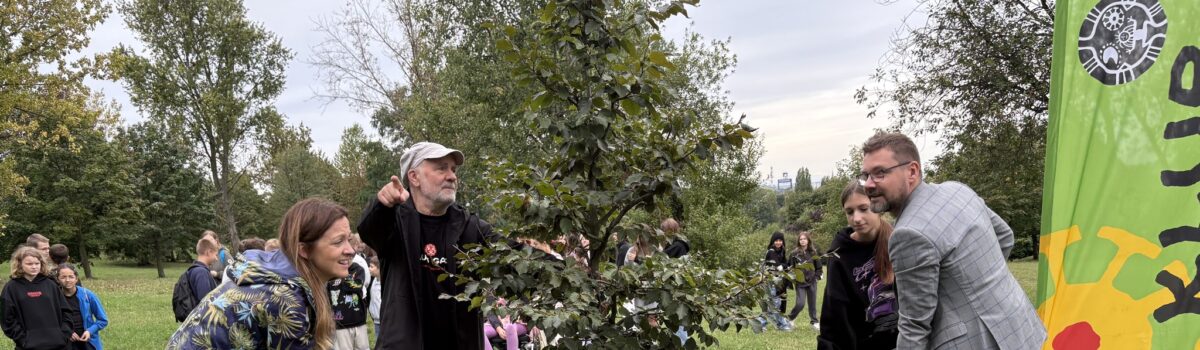 Święto Drzewa w Sosnowcu z opowieścią o Władysławie Szaferze