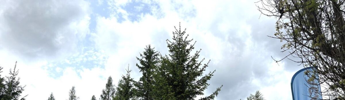 Klub Gaja i Fundację Drzewo i Jutro połączyły ogrody