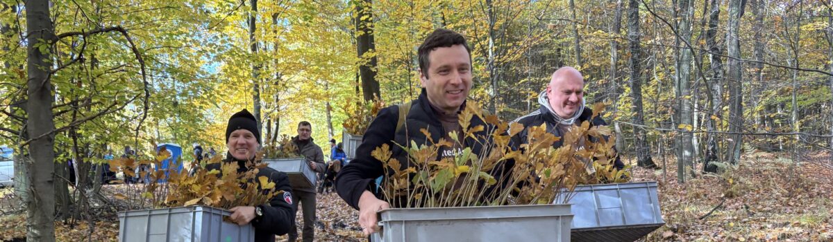 Sadzimy las z ITF i UPS Polska w Katowicach