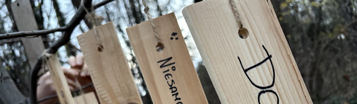 Tajemniczy Ogród – spotkanie Ashoki w Bielsku-Białej