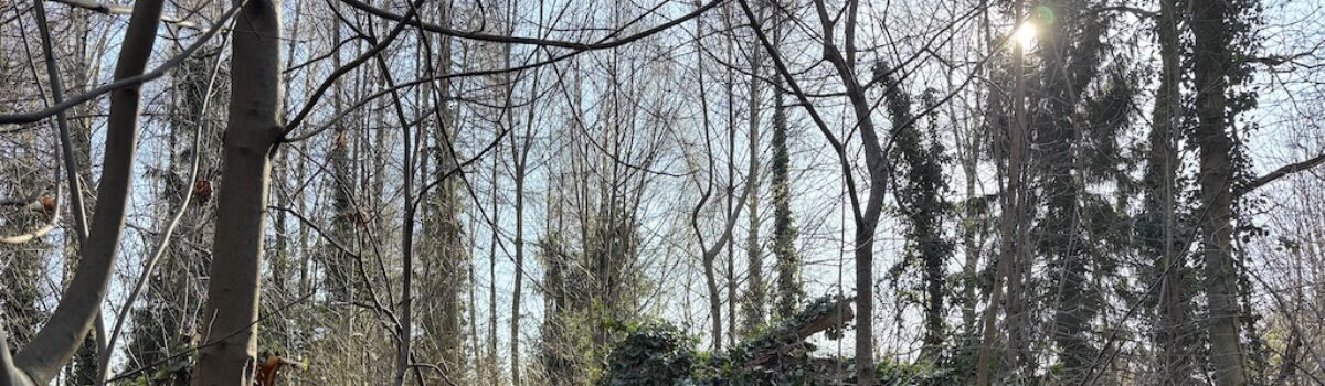 Ożywianie kultury w przestrzeniach miejskich