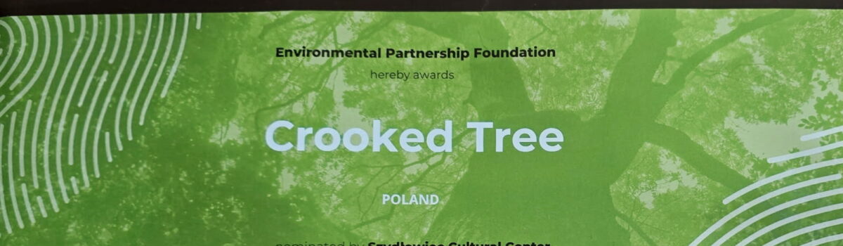 Litewski Dąb z Laukiai zostaje Europejskim Drzewem Roku 2026. Krzywe Drzewo z Polski trzecie.