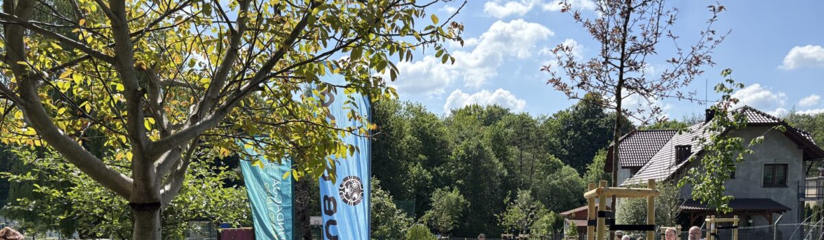 Park kieszonkowy w Szkole Podstawowej nr 31 w Bielsku-Białej