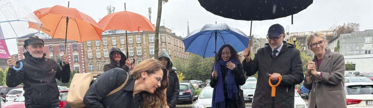 Dąb i wierzba w Alei Drzew Polskich w Katowicach